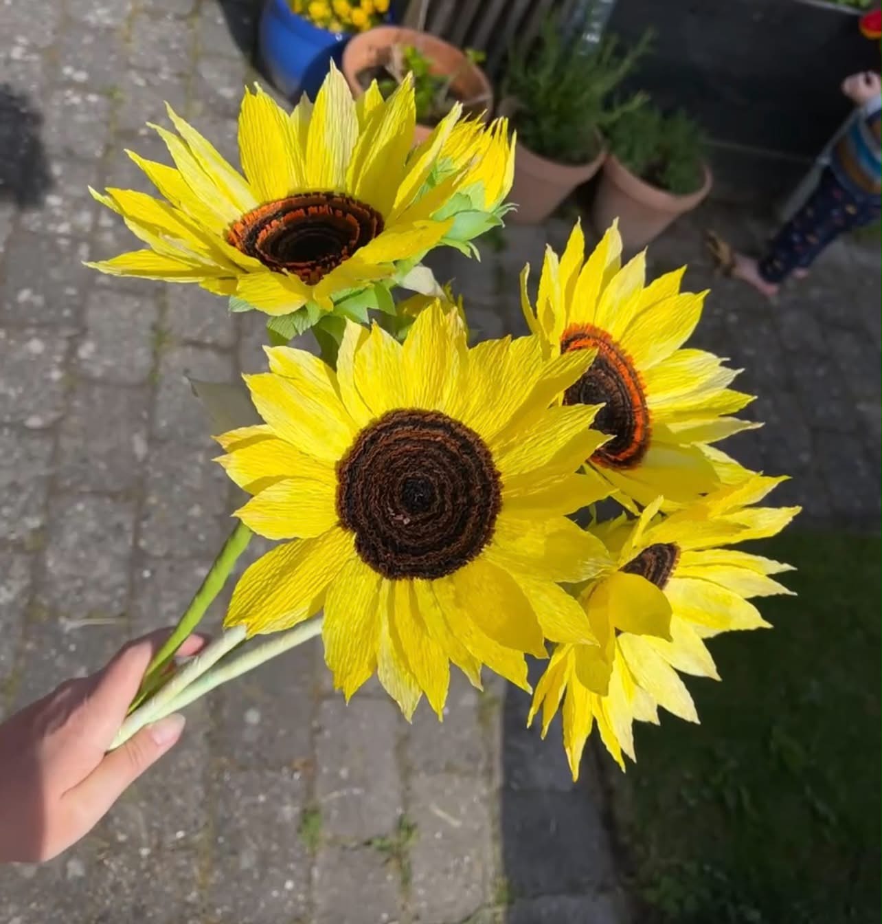 papirsolsikker